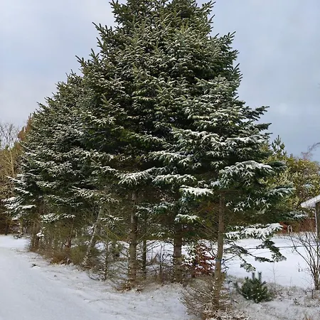 Vakantiehuis Echobay Nr 2 - Child-friendly House Close To The Jerup